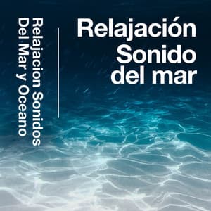 Relajación Sonido del mar - Relajacion Sonidos Del Mar y Oceano