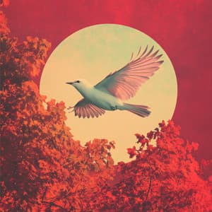 #01 Forest Birds Ambience - Forest Sounds