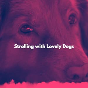 Strolling with Lovely Dogs - Calming Music for Dogs