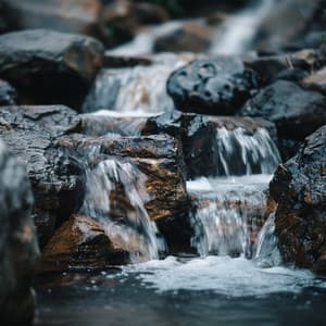 Ritmos De Relajación: Música Para Calmar - Musica para Hoteles