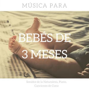 Música para Bebés de 3 Meses: Sonidos de la Naturaleza, Piano, Canciones de Cuna - Musica para Bebes Especialistas