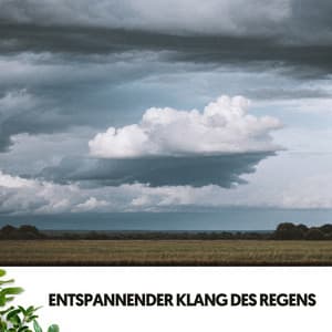 Entspannender Klang des Regens: Melodien aus den Wolken - Dog Relaxation