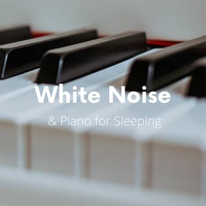 White Noise & Piano for Sleeping - White Noise Playlist