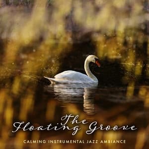 The Floating Groove - Calming Instrumental Jazz Ambiance
