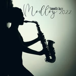 Smooth Jazz Medley 2022 - Jazz Relax Zone