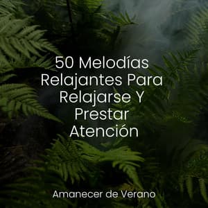 50 Melodías Relajantes Para Relajarse Y Prestar Atención - Masajes Spas