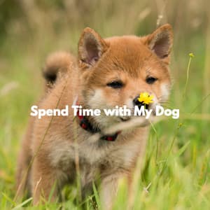 Spend Time with My Dog - Jazz Ambiental para Hoteles