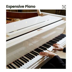 Expensive Piano - Piano Sleep