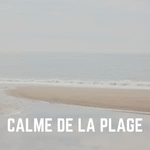 Calme de LA Plage - Vagues Dans La Mer