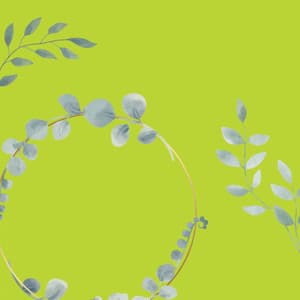 Music for Meditative Days - Brazilian Jazz Deluxe