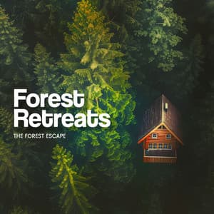 Forest Retreats - The Forest Escape