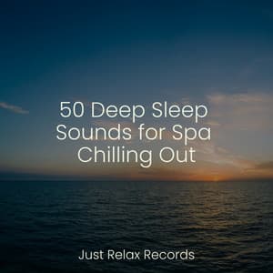 50 Deep Sleep Sounds for Spa Chilling Out - Relajacion Del Mar