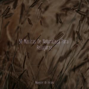 50 Músicas De Naturaleza Para Relajarse - Academia de Música con Sonidos de la Naturaleza