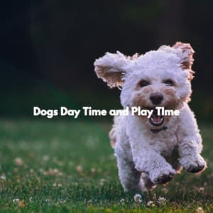 Dogs Day Time and Play TIme - Dog Calming Music