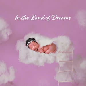 In the Land of Dreams: Baby Relaxing Moments, Music for Night, Restful Sleep Atmosphere - Baby Lullaby Academy
