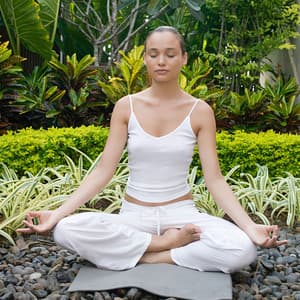 Rain and Piano Meditation Pathways - Piano Dreamers