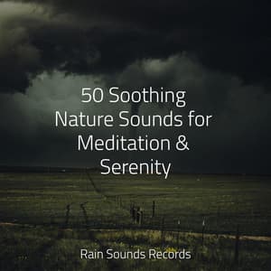 50 Soothing Nature Sounds for Meditation & Serenity - Reiki Music