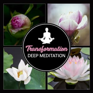 Transformation: Deep Meditation – Find Life Purpose, 50 Balancing Emotions Sounds, Inner Freedom, Holistic Living - Meditation Time Zone