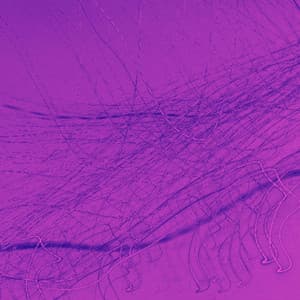 Music for Standard Events - Number One Jazz Quintet - Music for Work