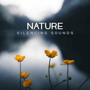 Nature Silencing Sounds: Feel Calmness and Harmony - Nature Sounds