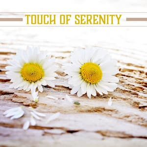 Touch of Serenity - Healing Touch Zone