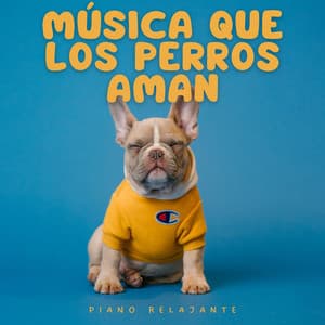 Música Que Los Perros Aman: Piano Relajante - Maestras de piano relajantes