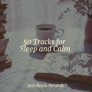 50 Tracks for Sleep and Calm - Sleep Music Lullabies