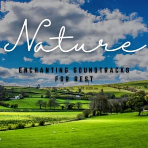 Sleeping Serenades: Enchanting Soundtracks for Rest - New Age Sleeping Music
