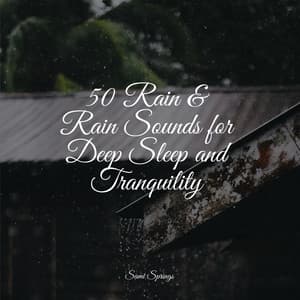 50 Rain & Rain Sounds for Deep Sleep and Tranquility - Sonidos de la Naturaleza