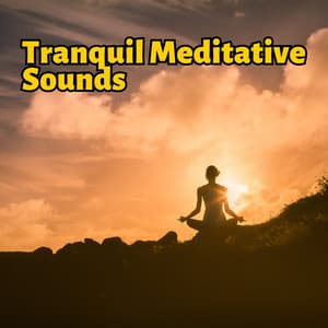 Tranquil Meditative Sounds: A Blend of Zen and Mother Nature's Symphony - Sonic Serenity