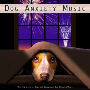 Dog Anxiety Music: Relaxing Music for Dogs and Background Dog Sleeping Music - Dog Music Collective