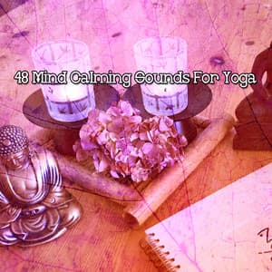 48 Mind Calming Sounds For Yoga - Pure Massage Music