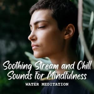Water Meditation: Soothing Stream and Chill Sounds for Mindfulness - Streams & Mist