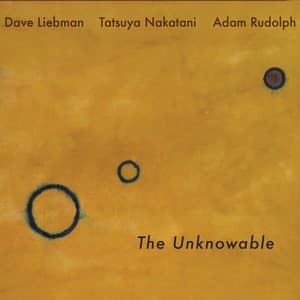 The Unknowable - Dave Liebman