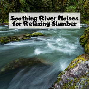 Soothing River Noises for Relaxing Slumber - River Sound Therapy