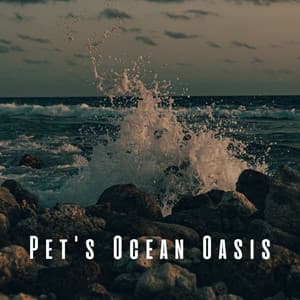 Pet's Ocean Oasis: Binaural Sounds for Relaxing Pet Experience - Soothing Ocean Sounds