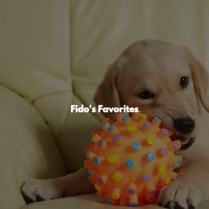Fido's Favorites - Jazz for Work
