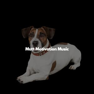 Mutt Motivation Music - Morning Brunch Music