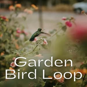 Garden Bird Loop - Nature Touch