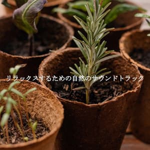 リラックスするための自然のサウンドトラック - Coffee Shop Music Deluxe