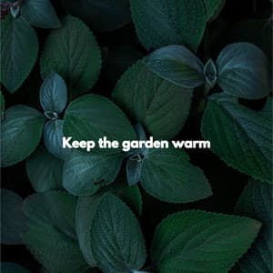 Keep the garden warm - Dinner Jazz Playlist