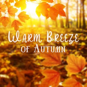 Warm Breeze of Autumn: Soothing Piano to Relax During the Autumn Gloom - Relaxing Piano Jazz Music Ensemble