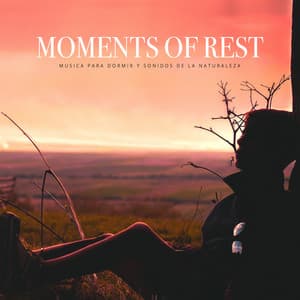 Moments of Rest - Musica Para Dormir y Sonidos de la Naturaleza