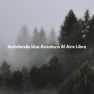 Anhelando Una Aventura Al Aire Libre - La biblioteca al aire libre