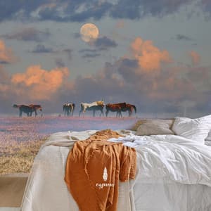 Collection Of Gentle Sleep Music To Listen To When Having Sweet Sleep - Anastasia Lee