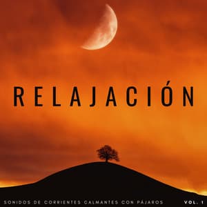 Relajación: Sonidos De Corrientes Calmantes Con Pájaros Vol. 1 - Siente la naturaleza