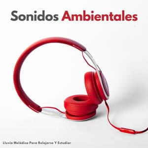 Sonidos Ambientales: Lluvia Melódica Para Relajarse Y Estudiar - Lista de Reproducción de Estudio