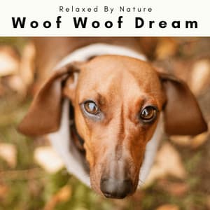 1 Woof Woof Dream - Dogs Music Therapy