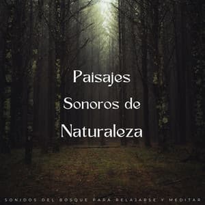 Paisajes Sonoros De Naturaleza: Sonidos Del Bosque Para Relajarse Y Meditar - Muestreo estéreo al aire libre