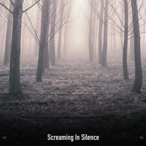 !!!!" Screaming In Silence "!!!! - Halloween Music